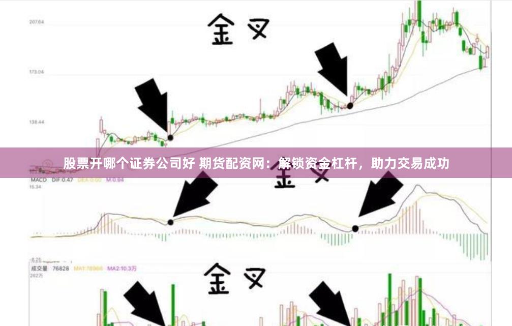 股票开哪个证券公司好 期货配资网：解锁资金杠杆，助力交易成功