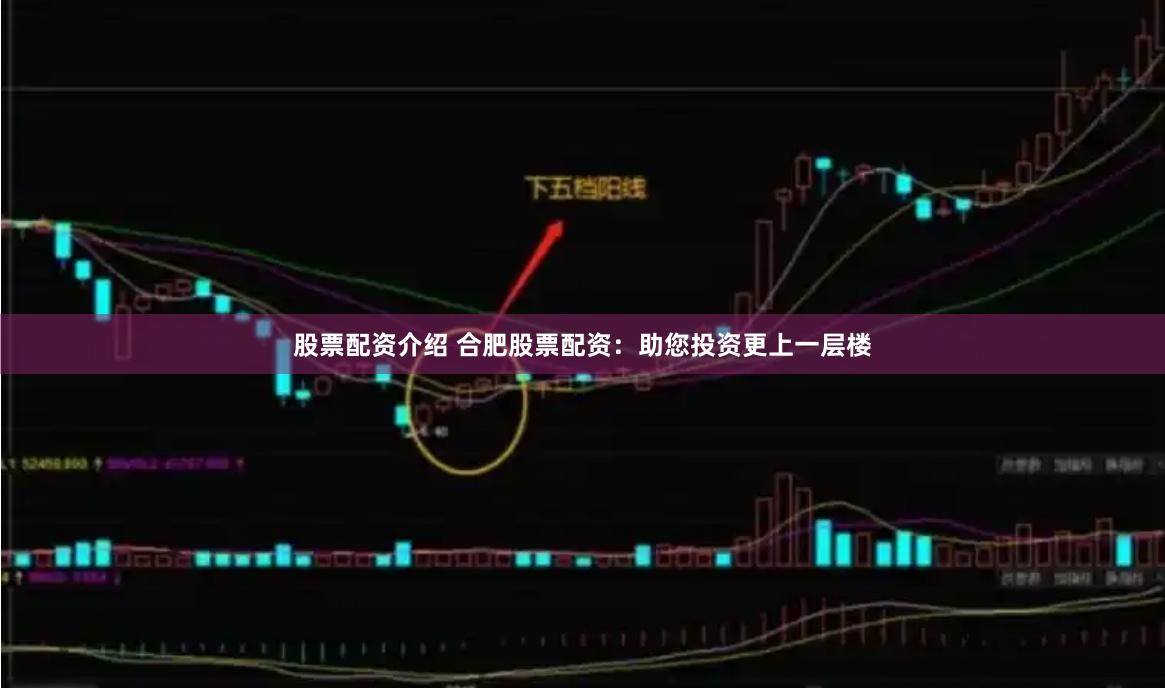 股票配资介绍 合肥股票配资：助您投资更上一层楼